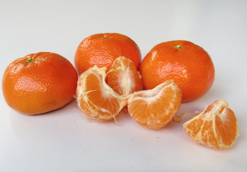 S.A. citrusfarmers to export recordnumber of fruit in 2021! Smile