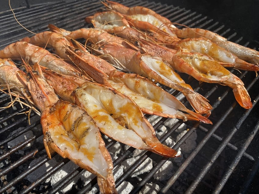 prawn shells make fire resistant material 