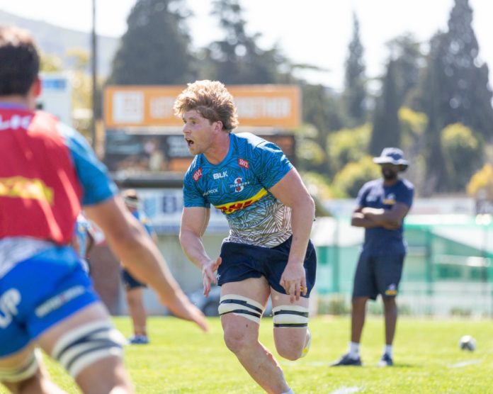 Evan Roos putting in the hard yards at a Stormers training session ahead of their URC match against Connacht