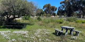 Mother City residents can now also visit the Durbanville Nature Reserve over weekends
