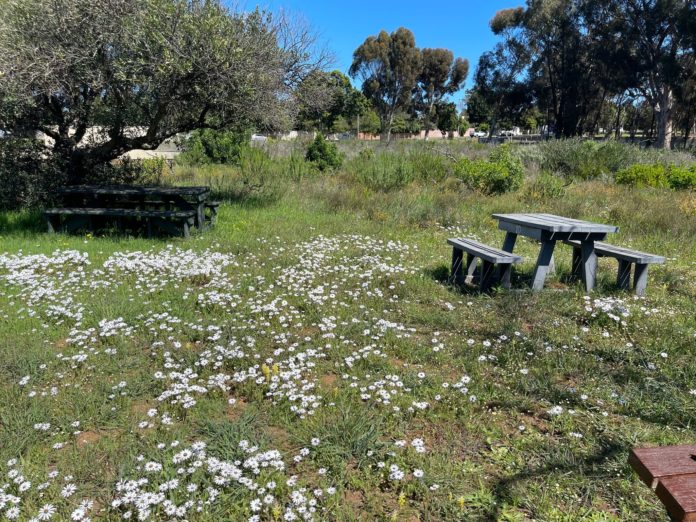 Mother City residents can now also visit the Durbanville Nature Reserve over weekends