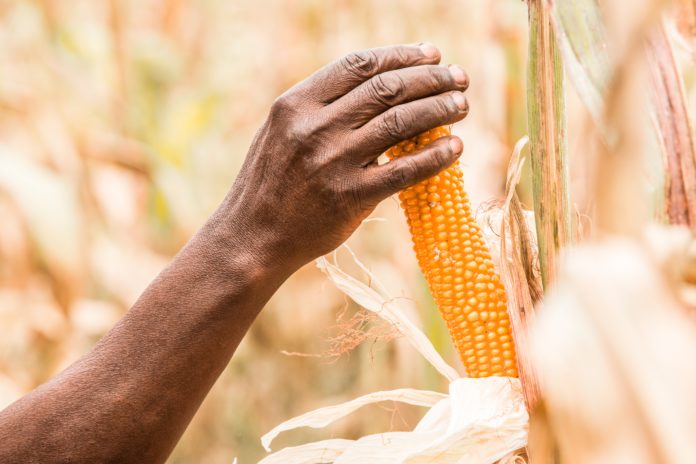 farming climate