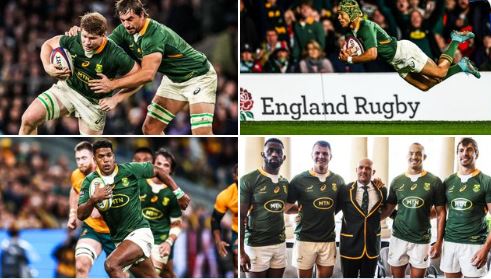 rugby springboks