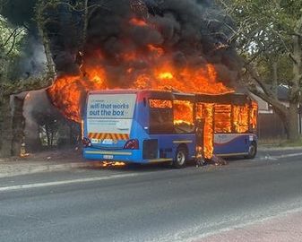 myciti bus arson