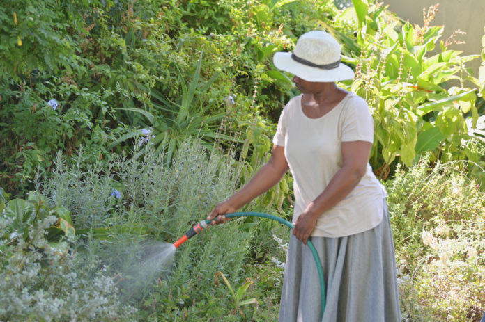 watering the garden