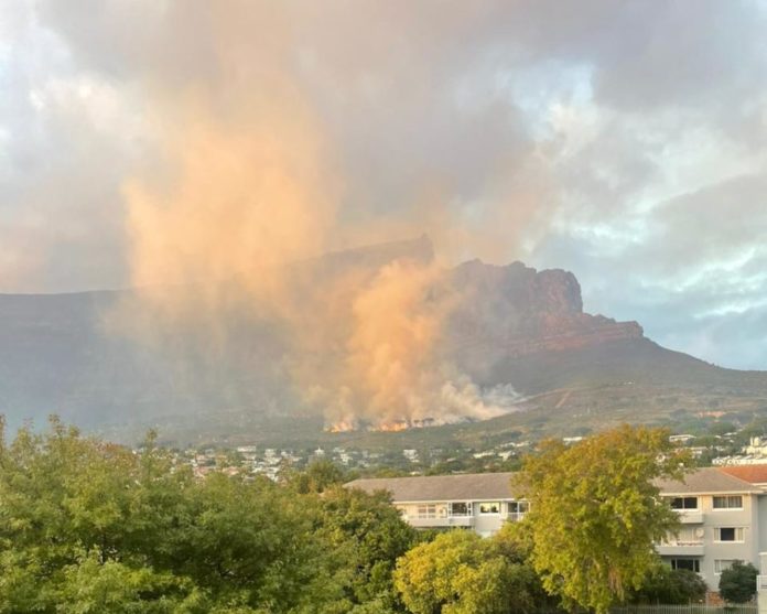 Prescribed burning on Table Mountain