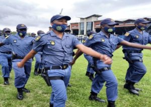 Six Western Cape police officers arrested on abalone, drug related ...