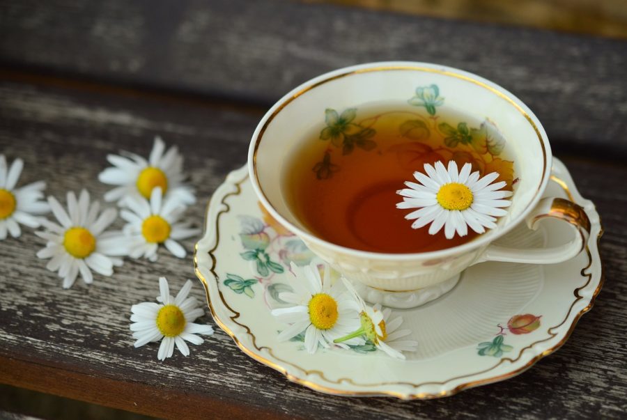 cup of tea with a daisy floating in it 