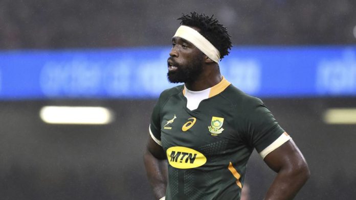 kolisi