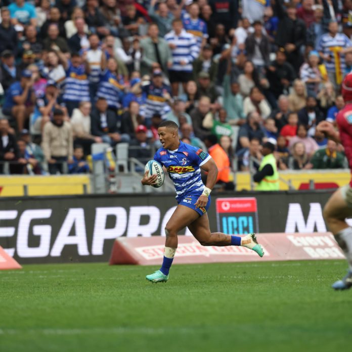 dhl stormers