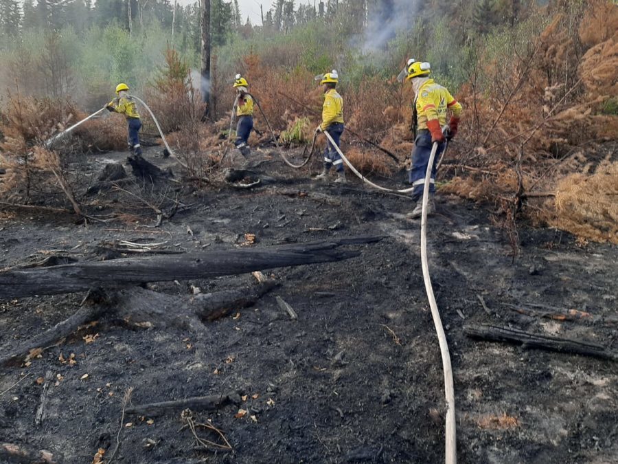 200 firefighters fly to Canada