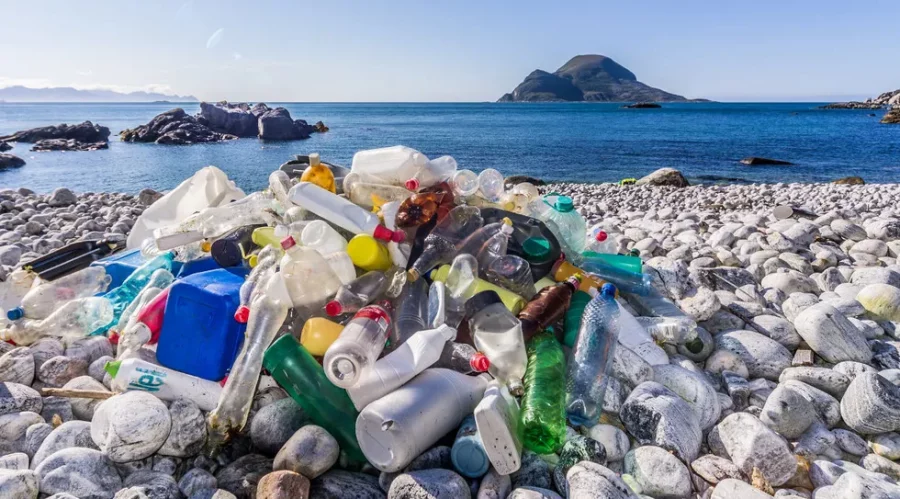 plastic littered on the beach