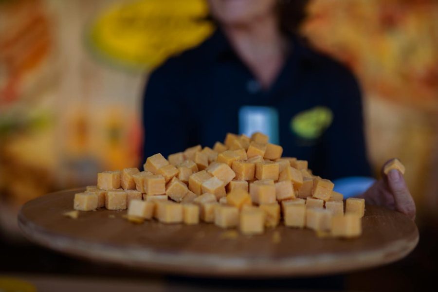 sa cheese festival