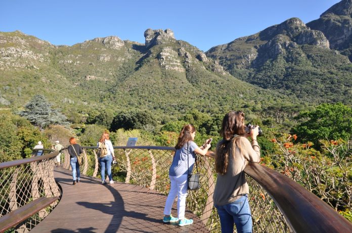 kirstenbosch