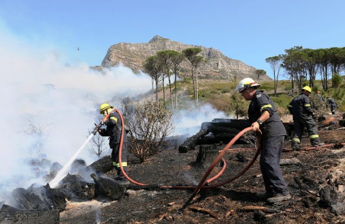 city firefighters extinguishing a wildfire