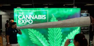 cannabis expo