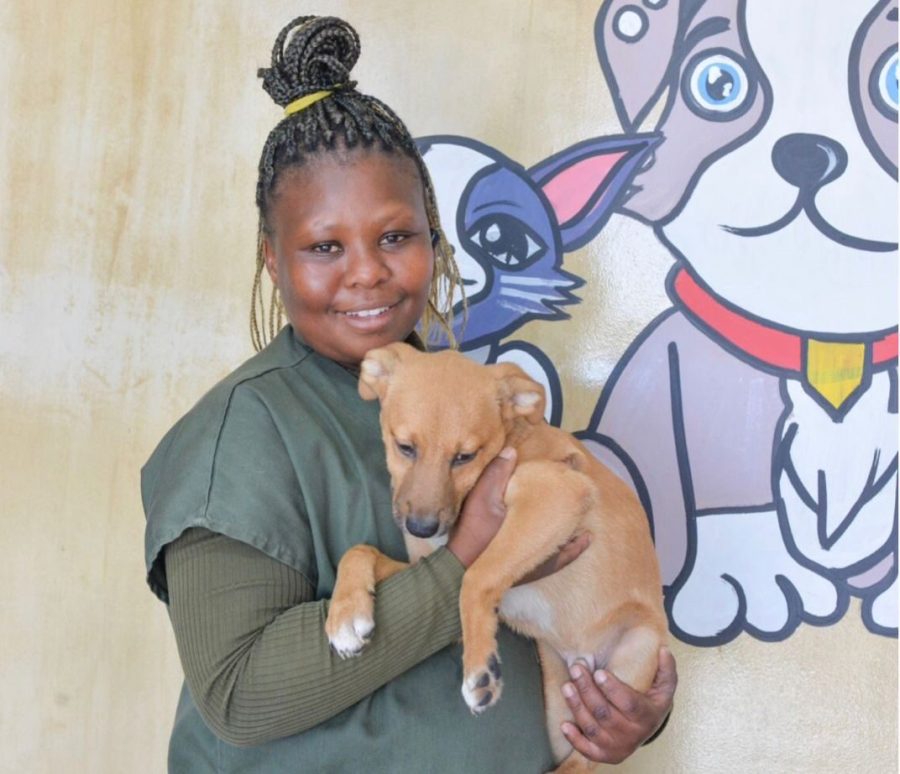 puppy with educator at Mdzananda animal daycare 