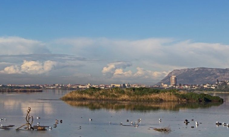 Free entry to City nature reserves