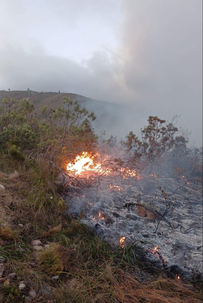 Several fires are burning in the Western Cape