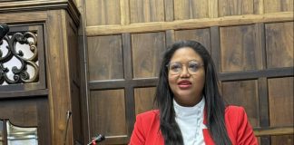 western cape budget