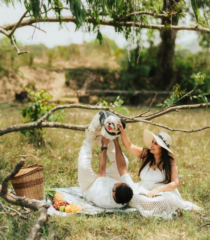 Dogs at an Animal Picnic