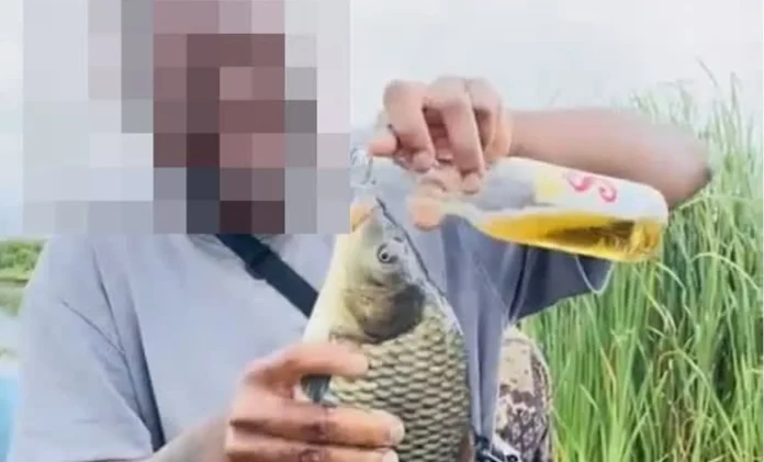 A Tik-Tok Abuser is to face prosecution for allegedly force-feeding a fish with alcohol