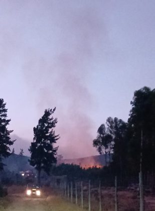 Several fires in the Western Cape