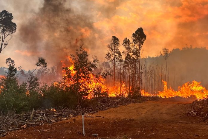 Several fires in the Western Cape