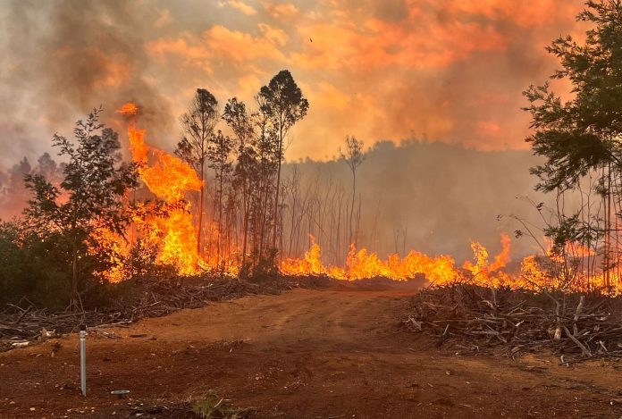 Several fires in the Western Cape
