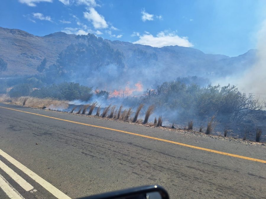 firefighters in cape winelands