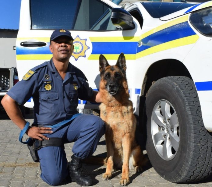 A shortage of SAPS dogs in the Western Cape