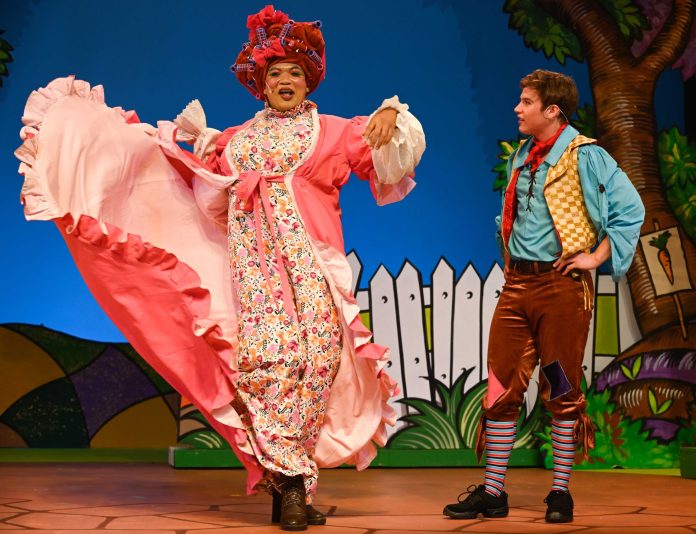 Magical Pantomime to Cape Town This Winter