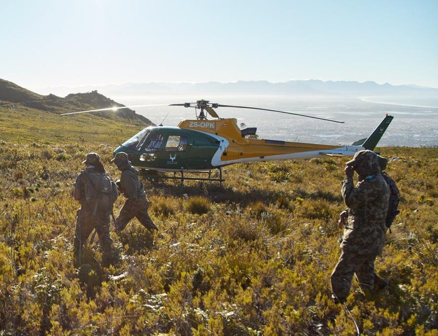 Table Mountain National Park Boosts Safety with Helicopter Deployment