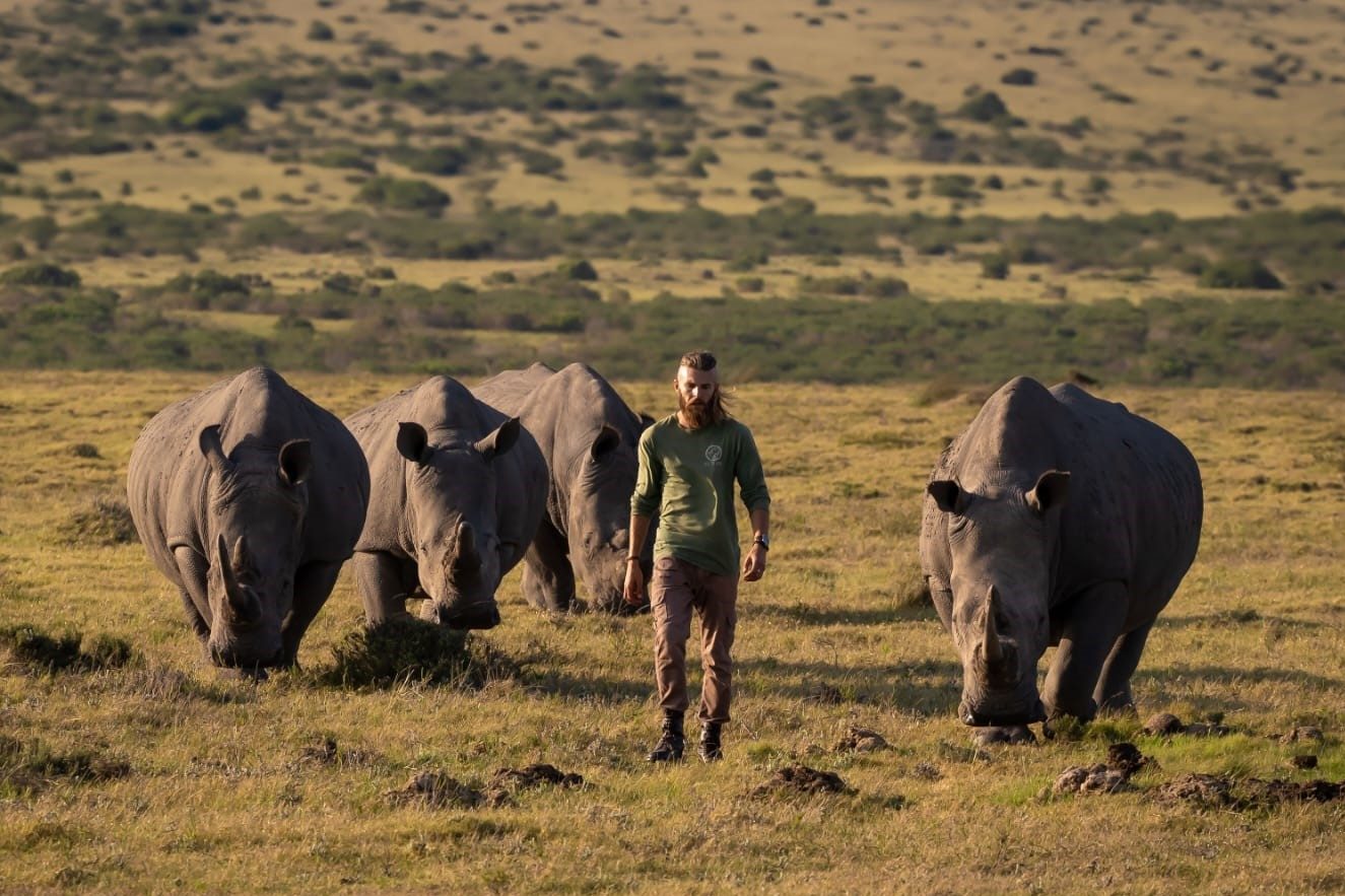 A campaign has been launched to save the last rhinos of Lombardini