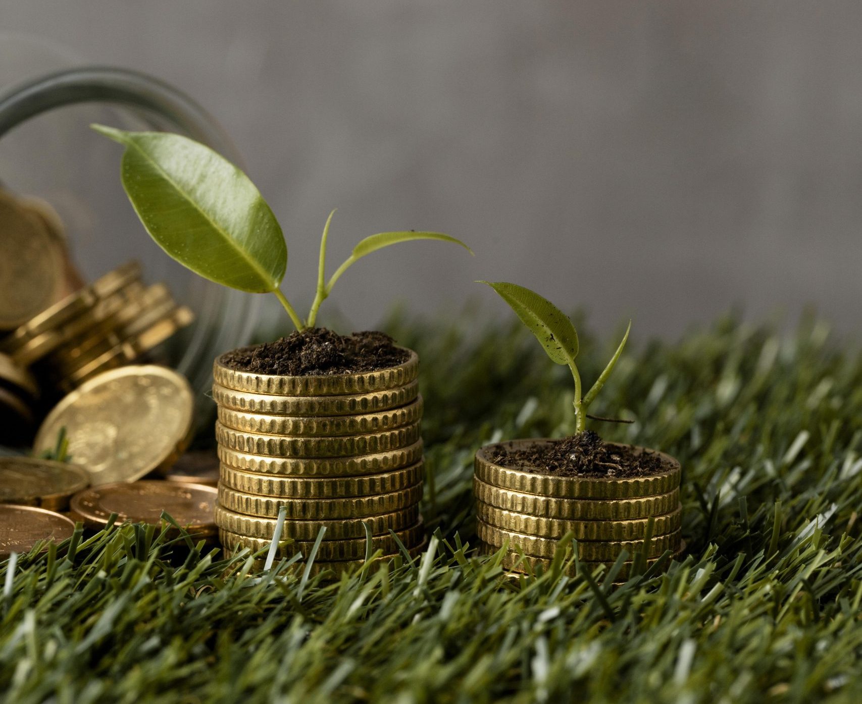 MFSA Calls for Urgent Policy Review Over Identity Verification Fee Hike