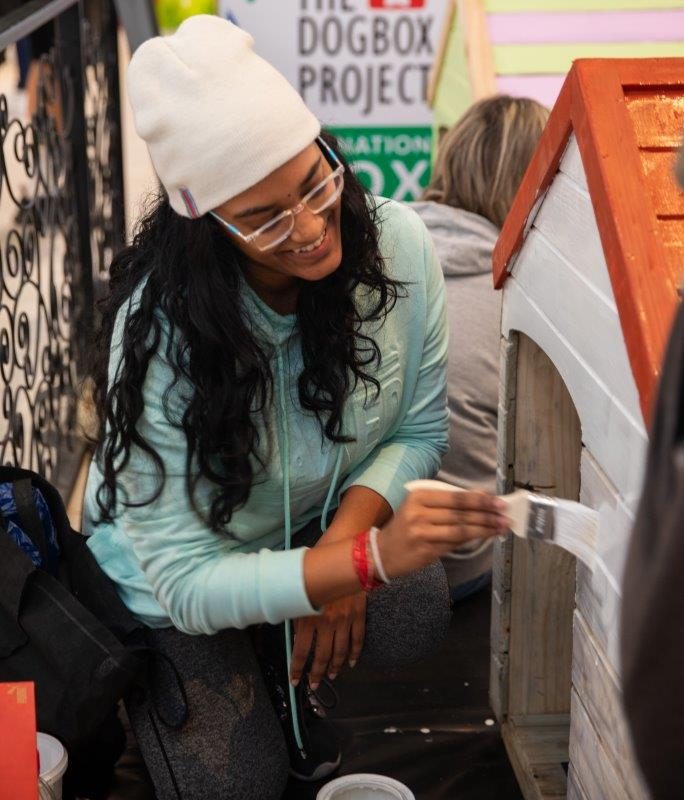 Mandela Day goes to the dogs. Capegate and The Dogbox Project have teamed up to bring warmth, shelter and wagging tails this Mandela Day. This will be done in 67 Minutes for 67 Kennels of Love at the Capegate Shopping Centre.