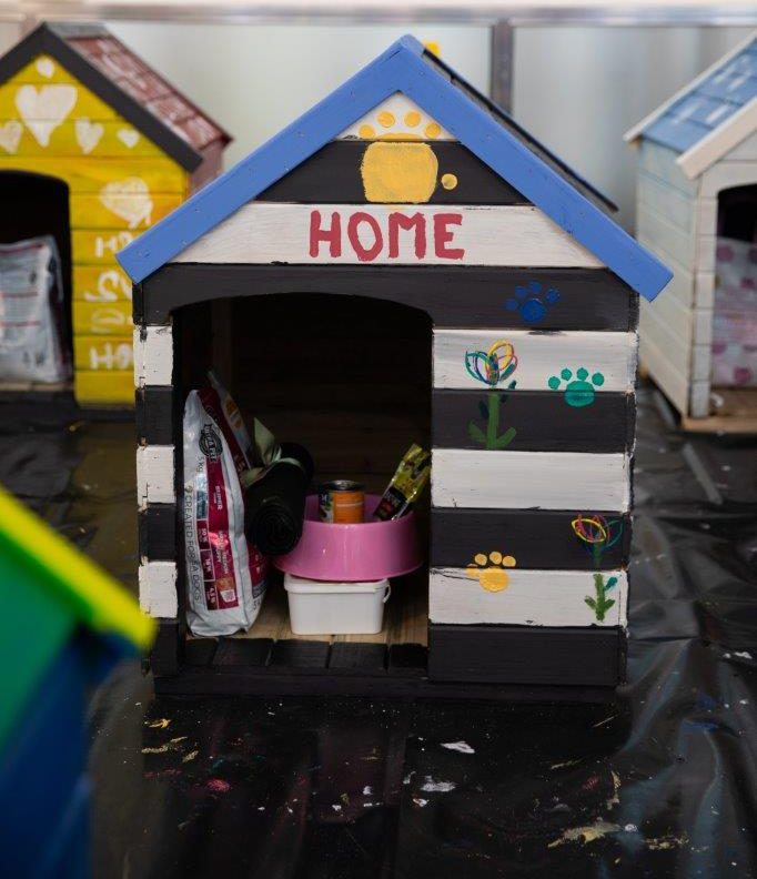 Mandela Day goes to the dogs. Capegate and The Dogbox Project have teamed up to bring warmth, shelter and wagging tails this Mandela Day. This will be done in 67 Minutes for 67 Kennels of Love at the Capegate Shopping Centre.