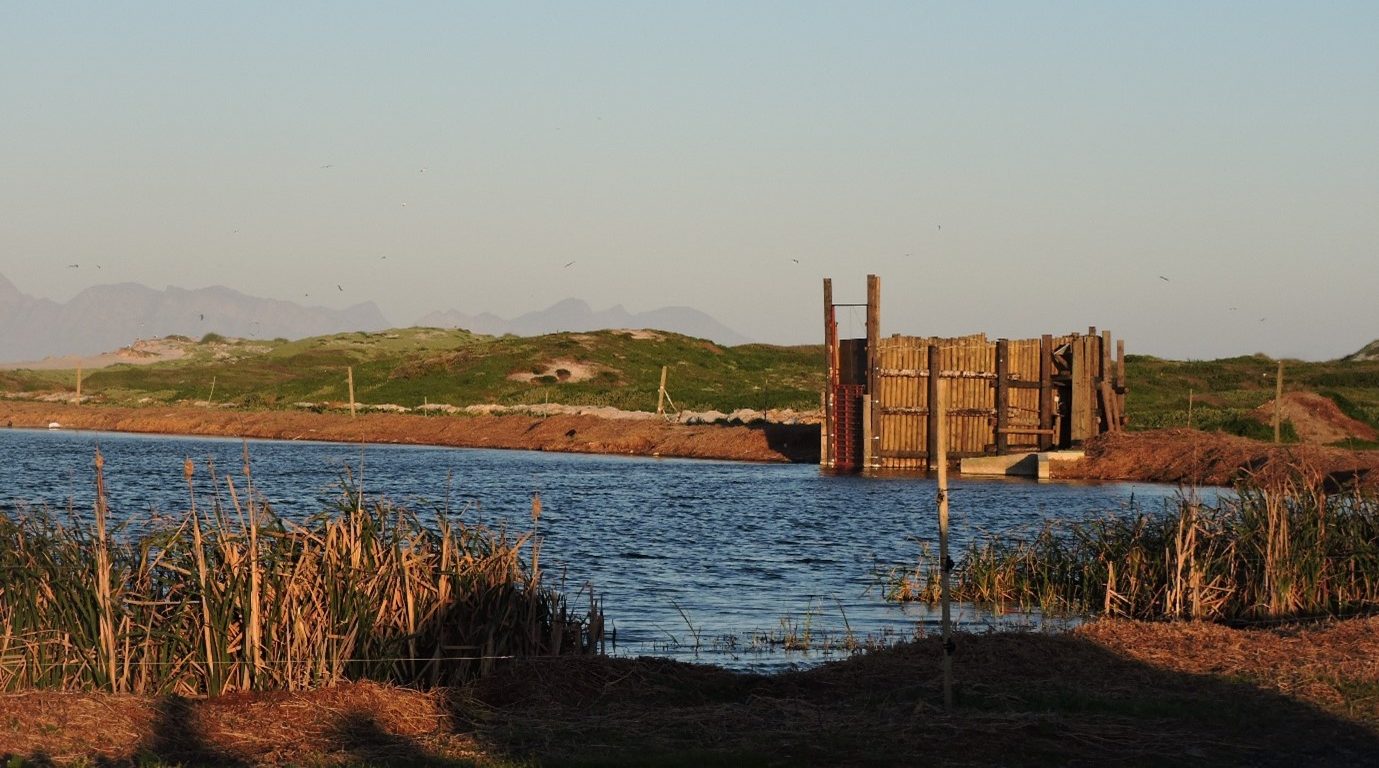 A hippo from the City has been successfully relocated