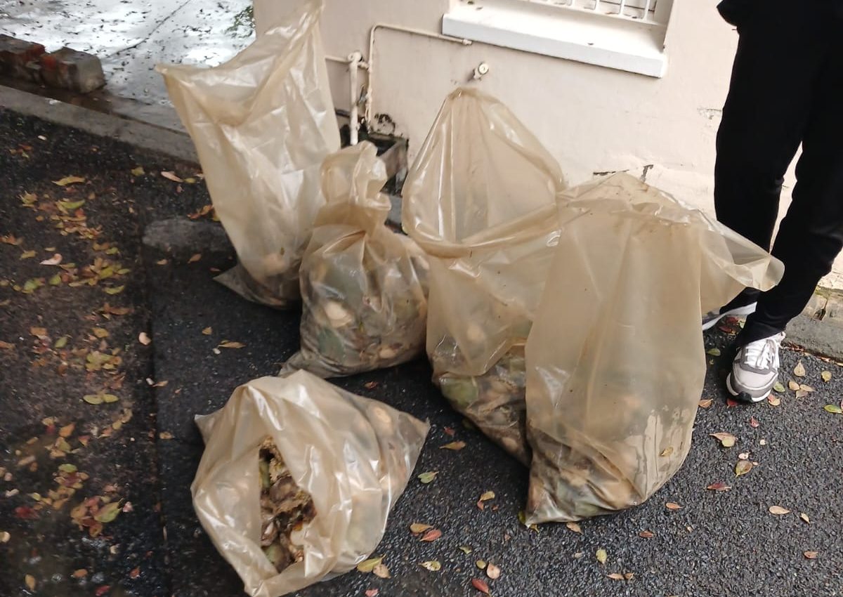 A collision between two vehicles leads to abalone discovery