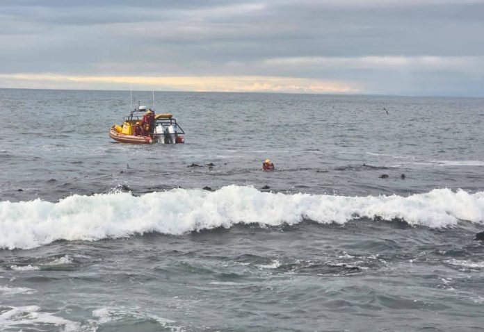 fishermen st helena bay