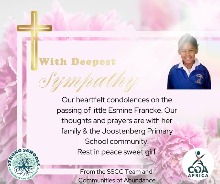 calls to adress gang violence - esmine franke