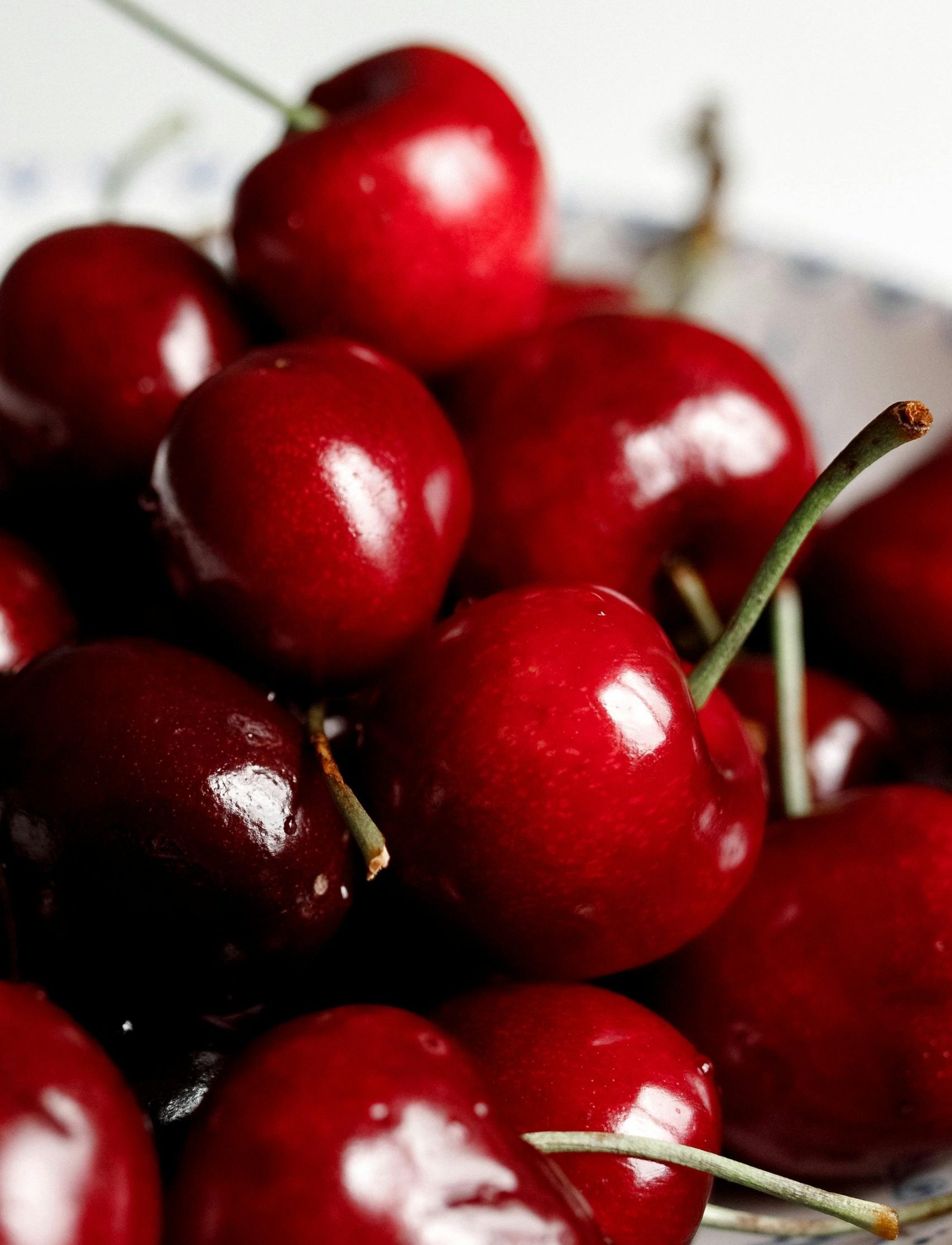 South African stone fruit could soon be winging its way to China