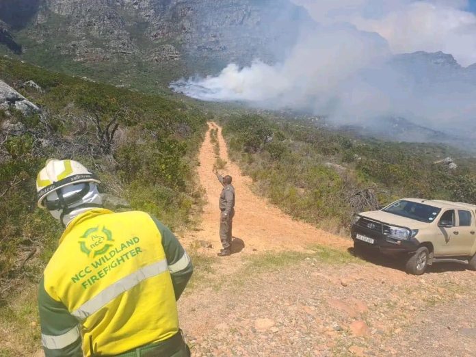camps bay fire