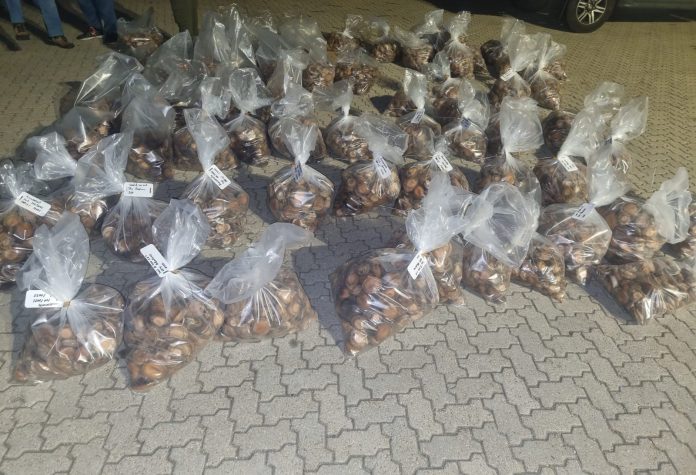 Police confiscated abalone of over R3-million, hidden in a truck