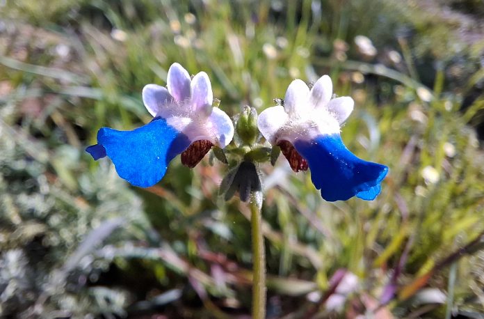 The City boasts with a new nature reserve