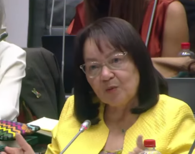 de lille