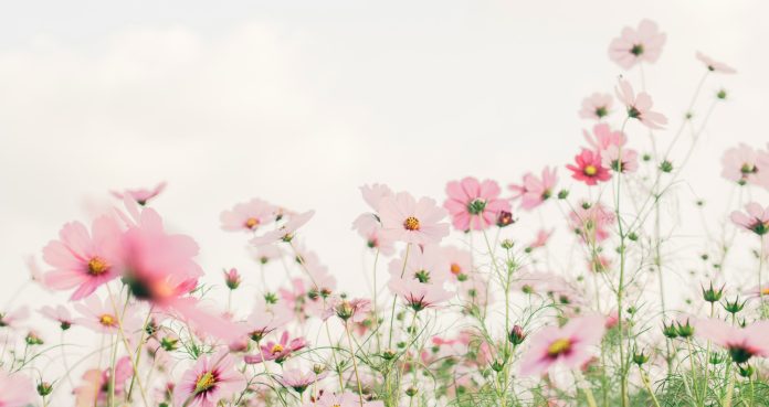 Why Spring Works for Your Health