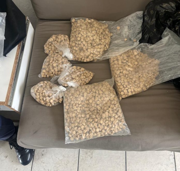 Police have uncovered a dagga cultivation laboratory in Bothasig