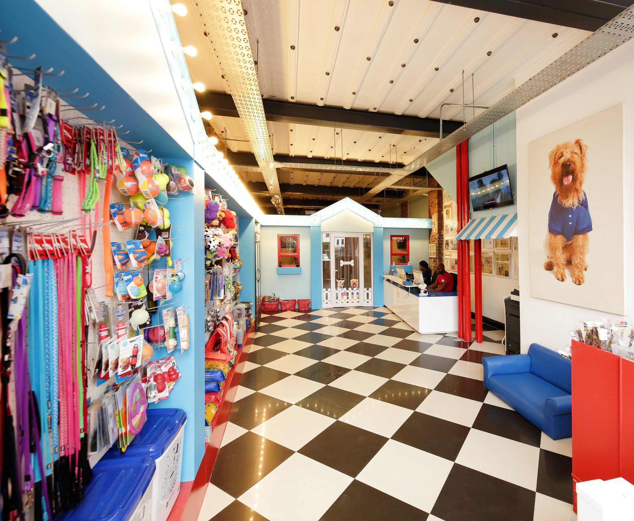 Happy 10th birthday, Pooch Hotel!