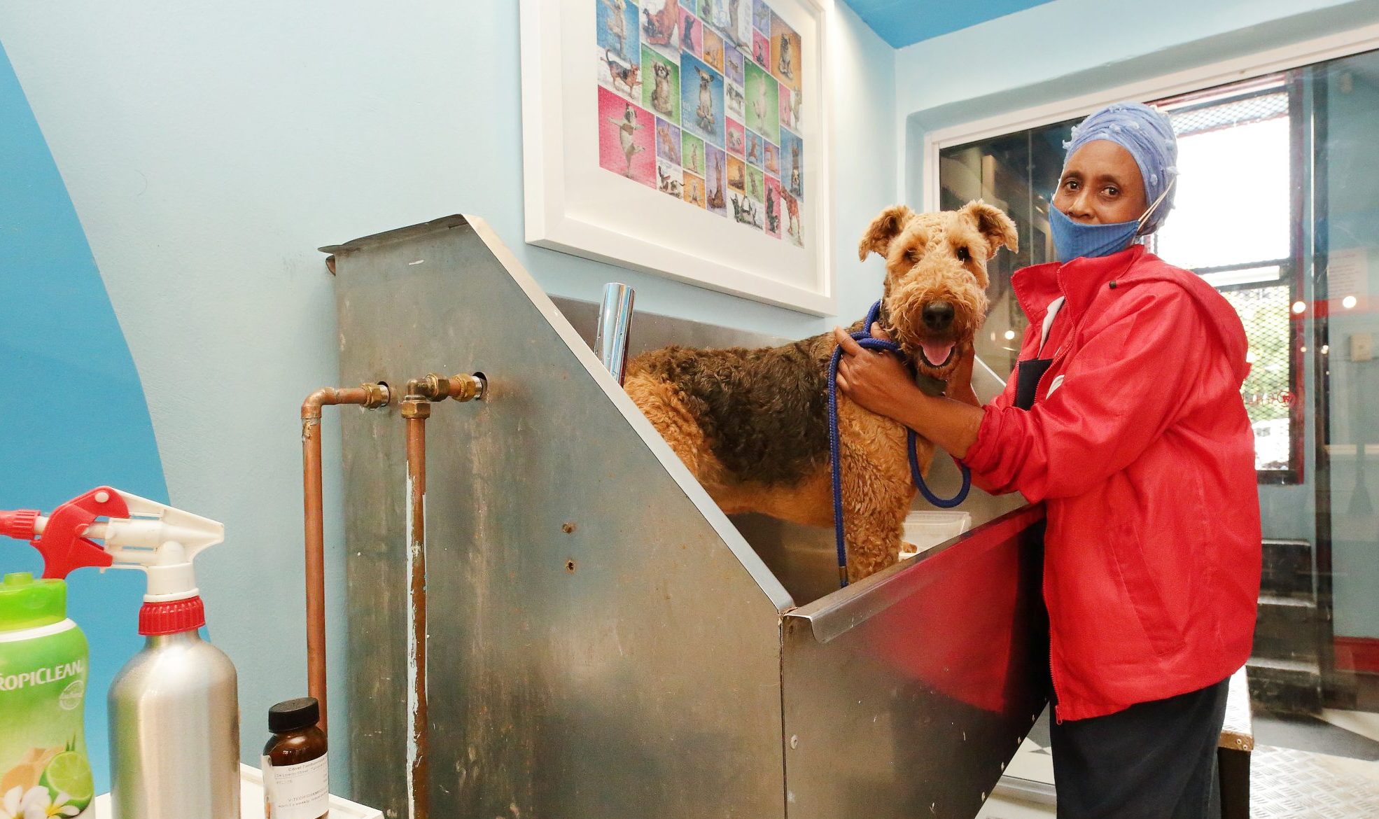 Happy 10th birthday, Pooch Hotel!